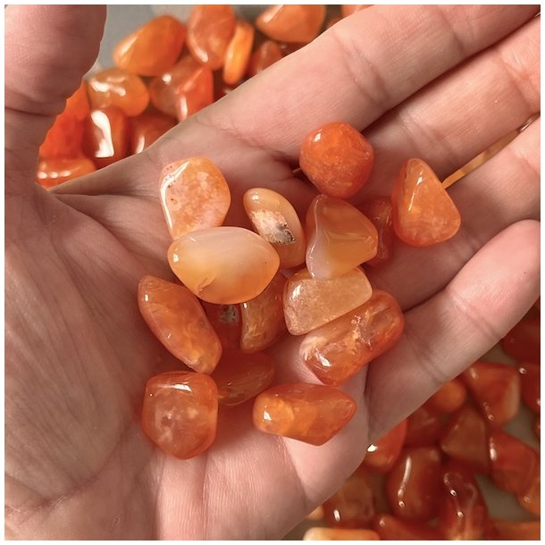 Karneol | lommesten | Ml 1,5 - 2 cm - AA Kvalitet