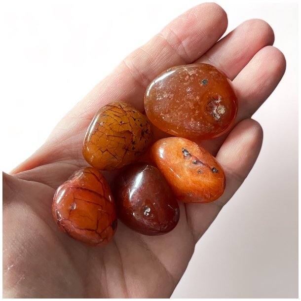 Karneol | lommesten | M�l ca.  2,5 - 3 cm | B - kvalitet