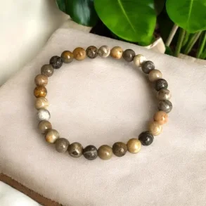 Fossiliseret koral armbnd 16-18 cm fin kvalitet  jordforbindelse, ro og spirituel styrke