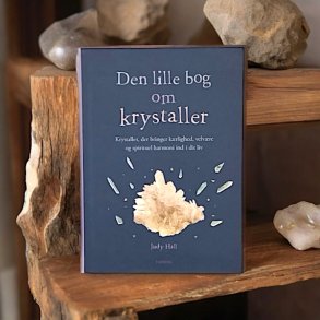 krystalbog der st�r p� en reol