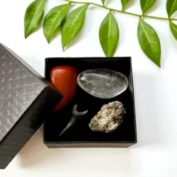 Urkraftens Beskytter krystalst i gaveske med hajtand, jaspis, pyrit og bjergkrystal