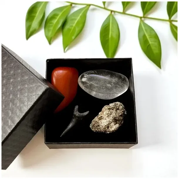 Urkraftens Beskytter krystalst i gaveske med hajtand, jaspis, pyrit og bjergkrystal