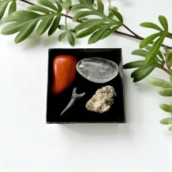 Urkraftens Beskytter krystalst i gaveske med hajtand, jaspis, pyrit og bjergkrystal