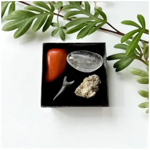 Urkraftens Beskytter krystalst i gaveske med hajtand, jaspis, pyrit og bjergkrystal