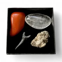 Urkraftens Beskytter krystalst i gaveske med hajtand, jaspis, pyrit og bjergkrystal