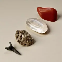 Urkraftens Beskytter krystalst i gaveske med hajtand, jaspis, pyrit og bjergkrystal