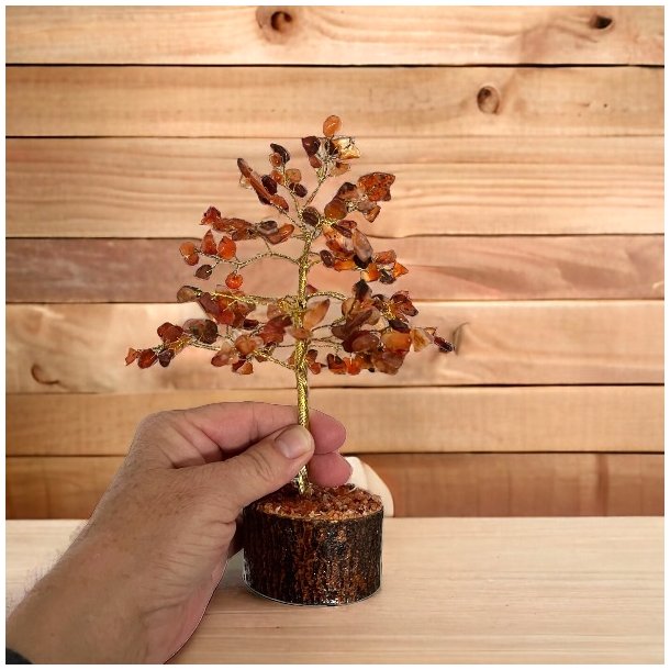 Krystaltr | Karneol p base af neemtr | Ml ca. 18-19 cm udslet