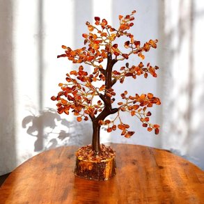 Krystaltr | Karneol p base af neemtr | Ml ca. 24 cm udslet