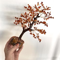 Krystaltr | Karneol p base af neemtr | Ml ca. 24 cm udslet