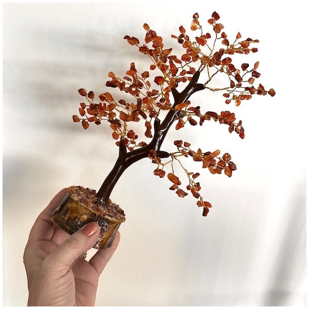 Krystaltr | Karneol p base af neemtr | Ml ca. 24 cm udslet