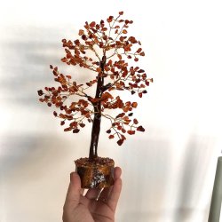 Krystaltr | Karneol p base af neemtr | Ml ca. 24 cm udslet