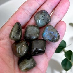 Labradorit | lommesten | Ml ca. 2 - 3 cm