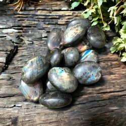 Labradorit | lommesten | ovale | Ml ca.  3 - 3,5 cm