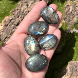 Labradorit | lommesten | ovale | Ml ca.  3 - 3,5 cm