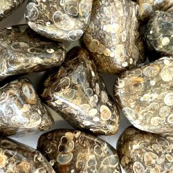 Lommesten Turitella agat,  Ml 3 - 3,5 cm