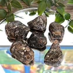 Lommesten Turitella agat,  Ml 3 - 3,5 cm