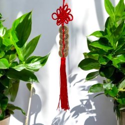 Feng Shui luckyhanger med kinesiske lykkem�nter og traditionelle knuder 39 cm