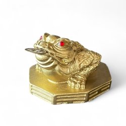 Guldfarvet Lykkefr med Lykkemnt  Tiltrk Held &amp; Overflod | 6,5 x 7 x 5,5 cm