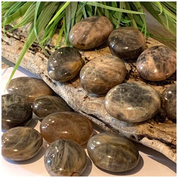 Sort m�nesten XL Lommesten | M�l 3 - 4 cm