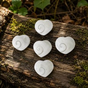 Shiva Shell Hjerte 4 cm H�ndslebet og Poleret Naturhjerte