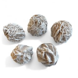 �rkenroser | Sandroser | M�l imellem 5 - 5,5 cm