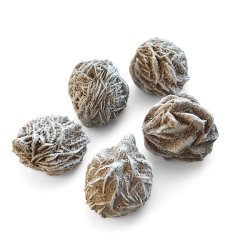 �rkenroser | Sandroser | M�l imellem 5 - 5,5 cm