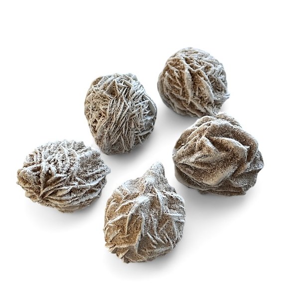 �rkenroser | Sandroser | M�l imellem 5 - 5,5 cm