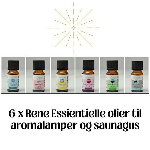 6 �teriske Olier + Gratis Taske � Perfekt til Aromaterapi &amp; Sauna