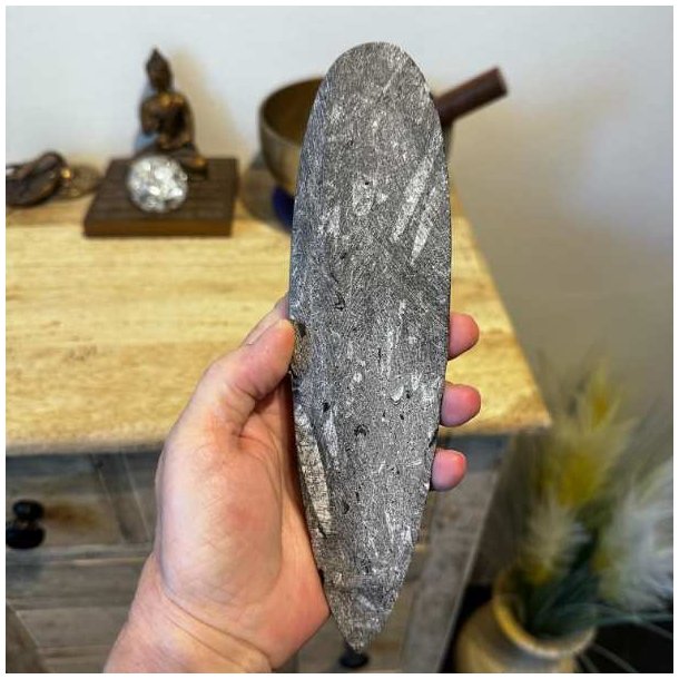Bagsiden af en Unik Orthoceras fossil fra Marokko med flotte naturlige aftegninger