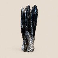 �gte og smukt orthoceras fossil unika