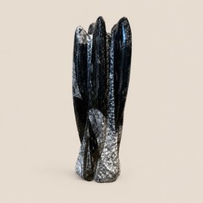�gte og smukt orthoceras fossil unika