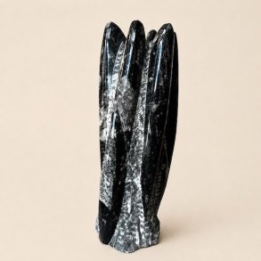 Orthoceras fossil fri form med m�rke fossile strukturer