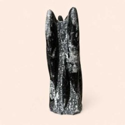 Poleret Orthoceras fossil med naturlige gr� og sorte nuancer