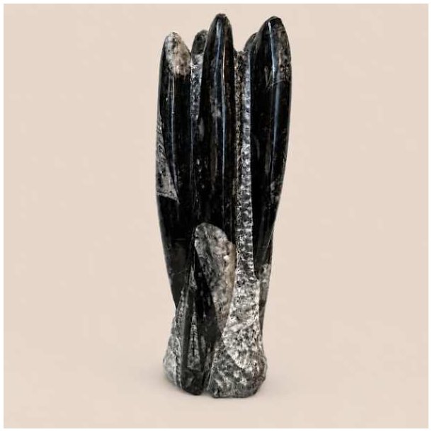 Orthoceras fossil poleret fri form &ndash; naturlige sorte og gr� nuancer