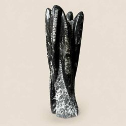 Orthoceras fossil poleret fri form i sort og gr�