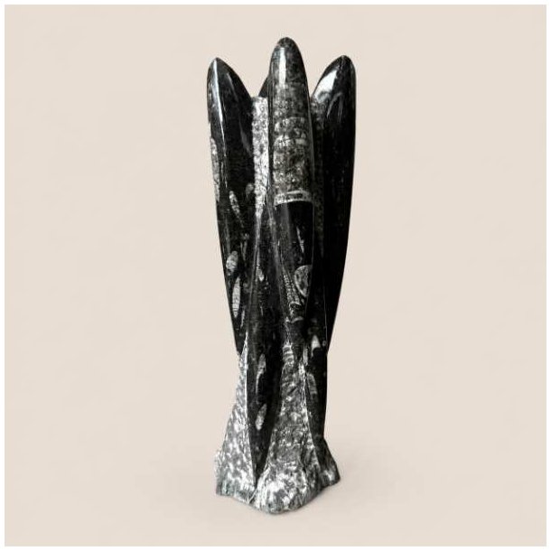 Orthoceras fossil poleret fri form med m�rke sorte nuancer