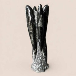 Orthoceras fossil poleret fri form med gr� og sorte detaljer