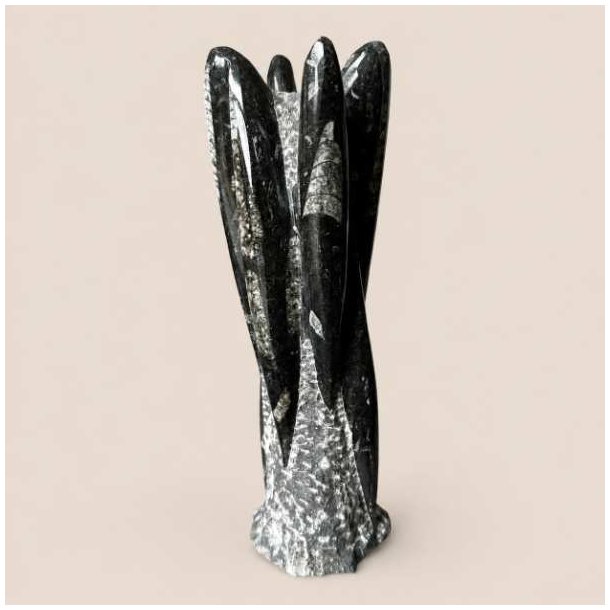 Orthoceras fossil poleret fri form med gr� og sorte detaljer