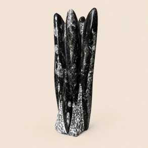 Poleret Orthoceras fossil i naturlig fri form