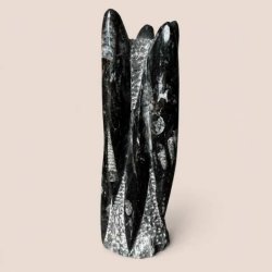 Orthoceras fossil med sorte fossile strukturer og gr� detaljer