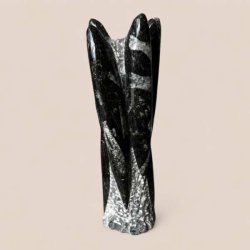 Orthoceras fossil poleret med naturlige sorte og gr� m�nstre