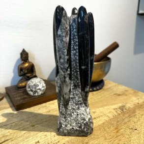 H�ndplukket Orthoceras Freeform med smukke naturlige fossile detaljer.