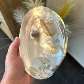 Stor perlemorsskal med naturlig perle &ndash; 17,5 x 12 cm