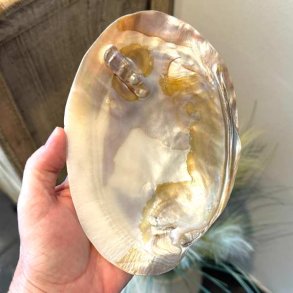 Stor perlemorsskal med naturlig perle &ndash; 17,5 x 12 cm