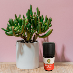 Primavera happiness blend olie