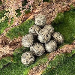 Lommesten Pyrit | Poleret | Ml 2 - 3 cm