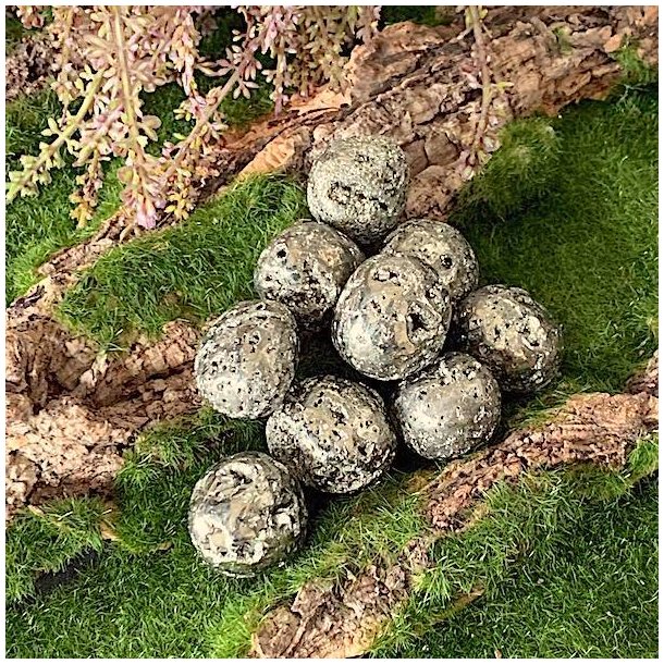 Lommesten Pyrit | Poleret | M�l 2 - 3 cm