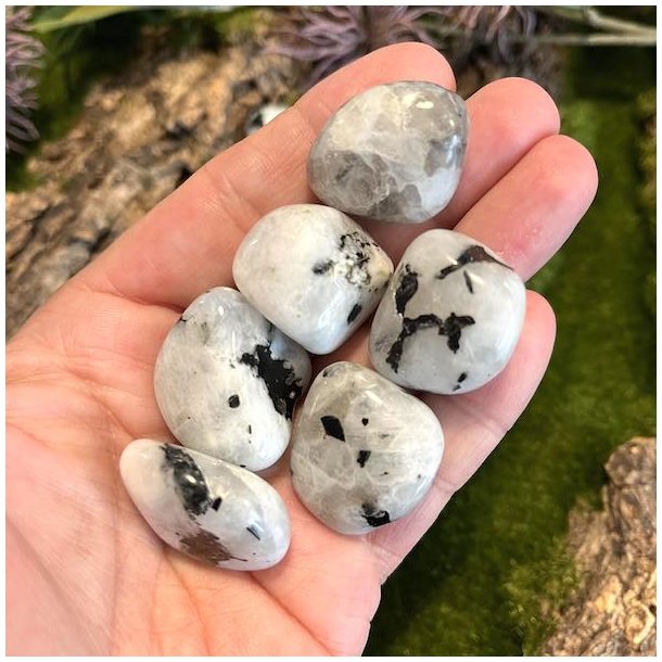 Lommesten | regnbue m�nesten | M�l 2-3 cm