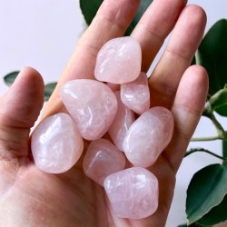 Rosenkvarts ekstra fin kvalitet,  M�l ca. 2,5 - 3 cm