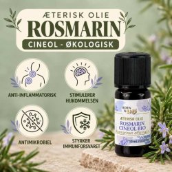 Born to Bio �terisk rosmarinolie 10 ml vist med produktinformation og grafiske ikoner for �kologi.